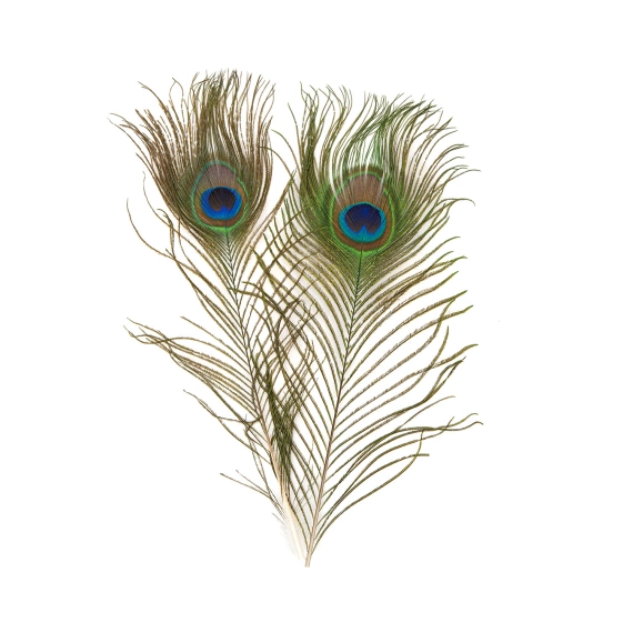Veniard Peacock Eye Tops Natural