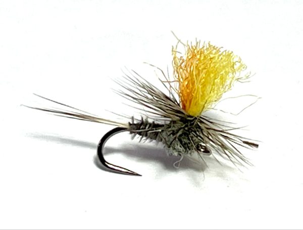 Grey Caper